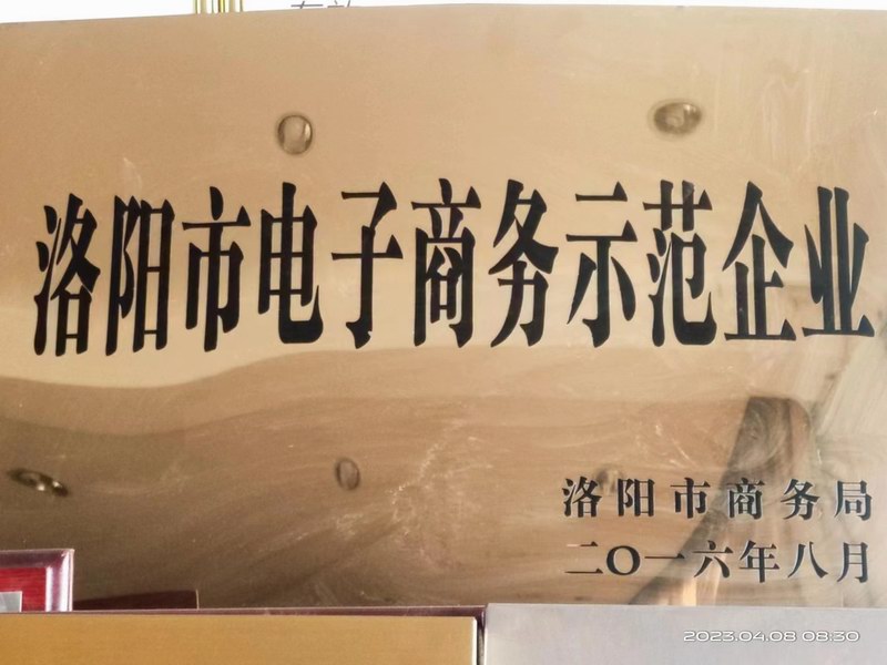 2016洛阳市电子商务示范企业
